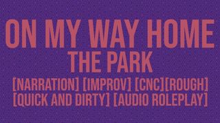On My Way Home: The Park - Erotic Audio Story
