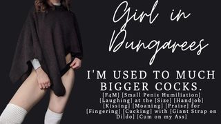 ASMR | I've been with bigger penii than yours | Small Dick Humiliation | Audio Porn