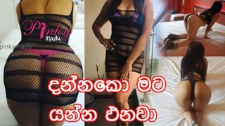 Sri Lankan Wifey tastes massive prick and he sexed her vaginal hole |
