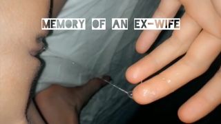 Memory Of An Ex-ex-wife