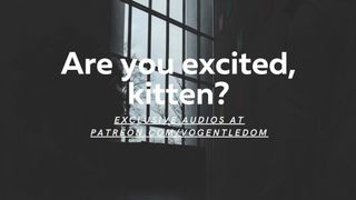 Are You Excited, Kitten?