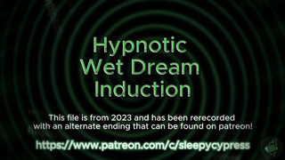 [Mesmerizing ASMR] Hypnotic Wet Dream Induction - Poked by a Dream Succubus