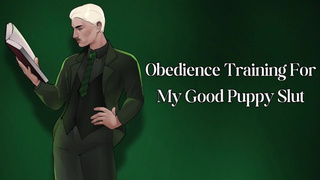 Obedience Training for My Good Puppy Bitch
