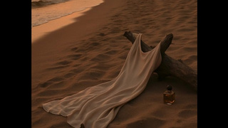 [Audio Roleplay For Women] Dominant Alpha Makes You CUMMM hard at the beach[M4F]