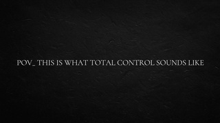 POINT OF VIEW_ this is what total control sounds like