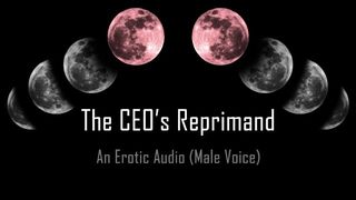 The CEO's Reprimand [erotic Audio] [spanking] [pet Play] [temp]