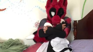 Deadpool Furry in Maid Outfit Plays with a new Toy